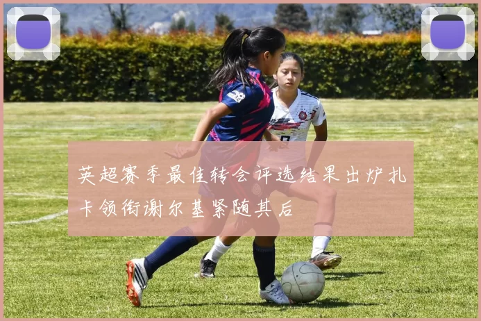英超赛季最佳转会评选结果出炉扎卡领衔谢尔基紧随其后