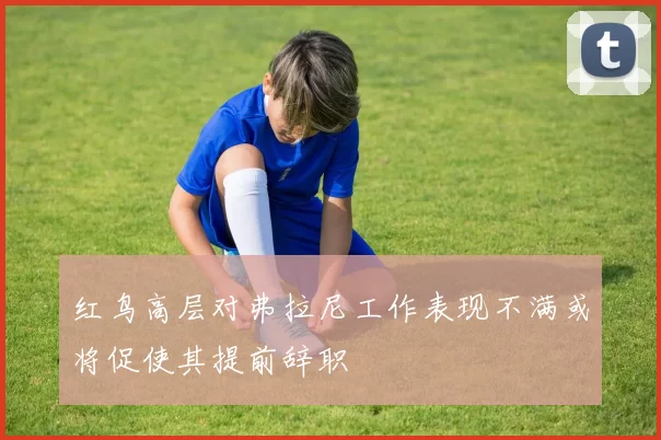 红鸟高层对弗拉尼工作表现不满或将促使其提前辞职